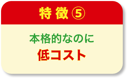 本格的なのに低コスト