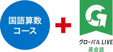 オプションコースとして導入