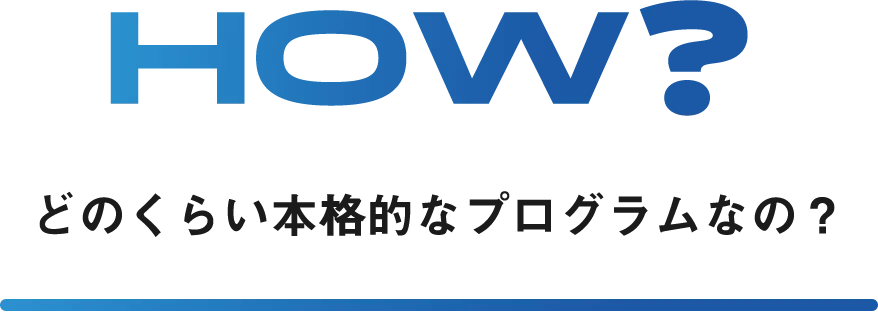 HOW? どのくらい本格的なプログラムなの？