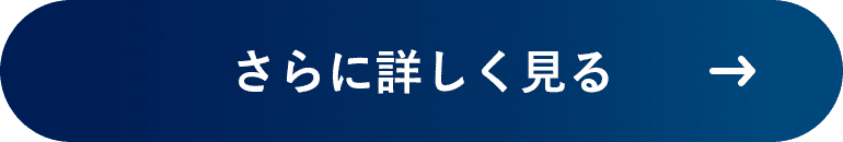 さらに詳しく見る