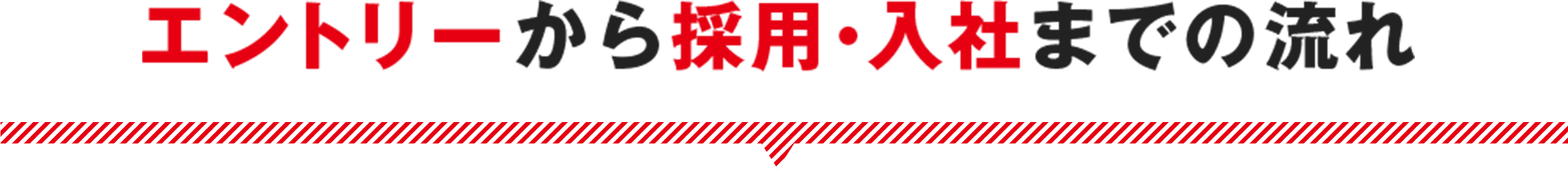 エントリーから採用・入社までの流れ