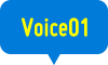 Voice01