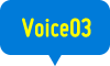 Voice03