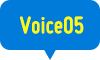 Voice05