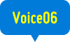 Voice06
